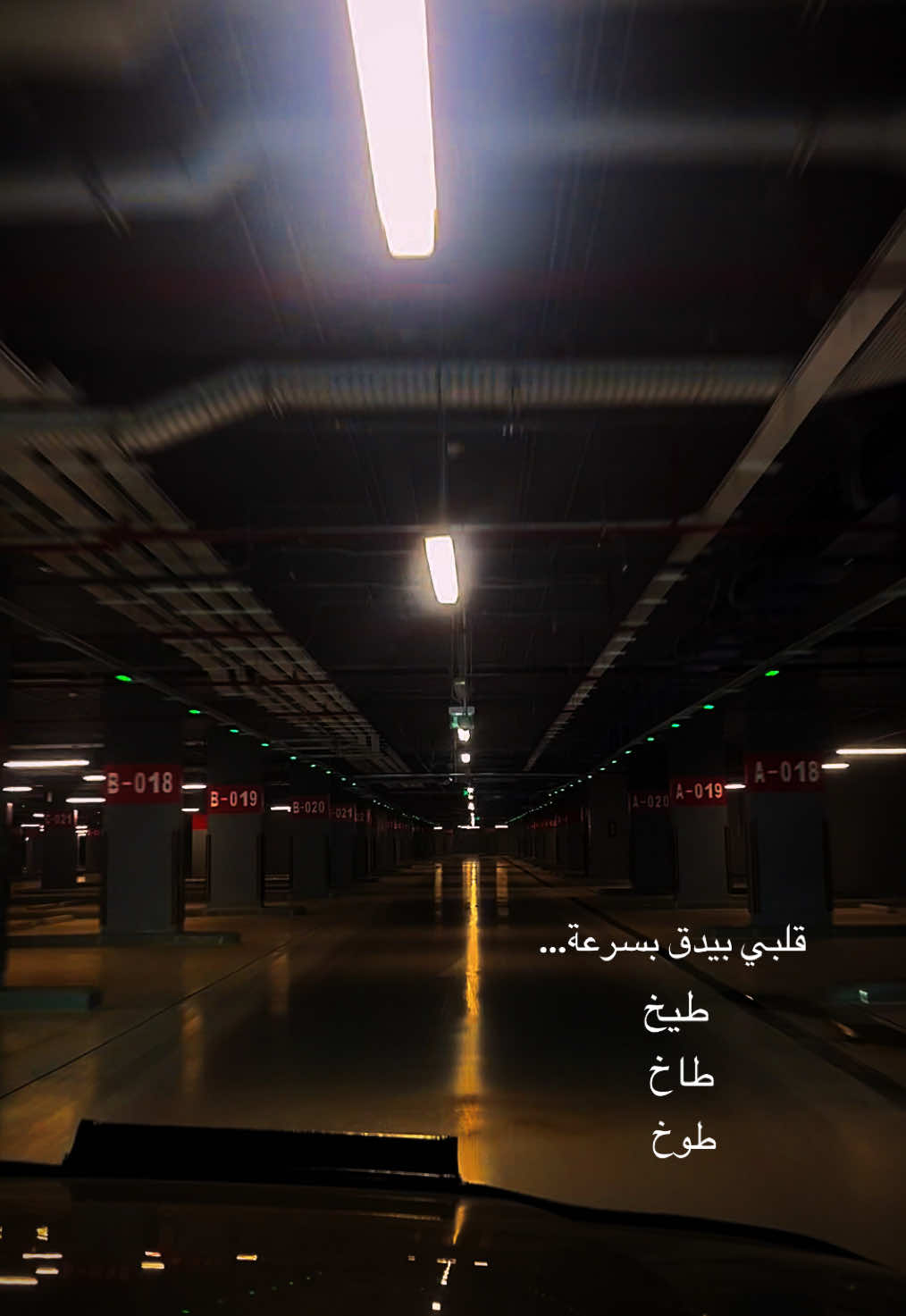 #fyp #foryoupage #amireid #امير_عيد 