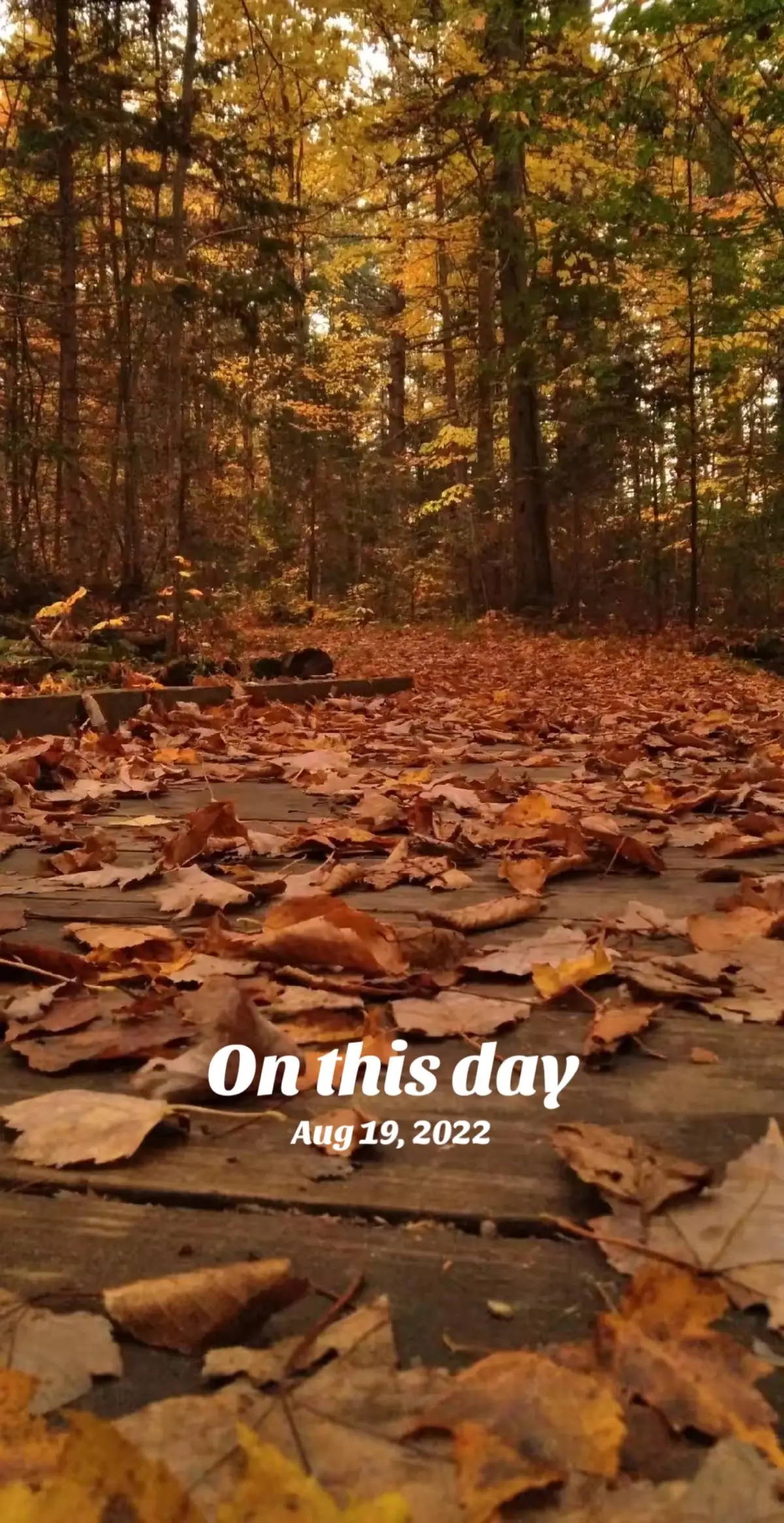 #onthisday 
