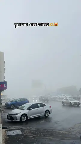 The most beautiful city in Abha ❤️‍🩹🫶🥀#foryou #foryoupage #abhasaudiarabia🇸🇦 #nahidulislam603 #unfrezzmyaccount 