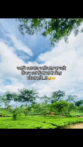থাও আটকায় না ভাই চিকন তো চিপা চাপা দিয়ে চইলা য়াই..!! #humm #vairalvideo #fanyvideo #foryoupage #bangladesh🇧🇩 #sadsong💔 