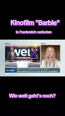 #demokratie #afd #diewelt 