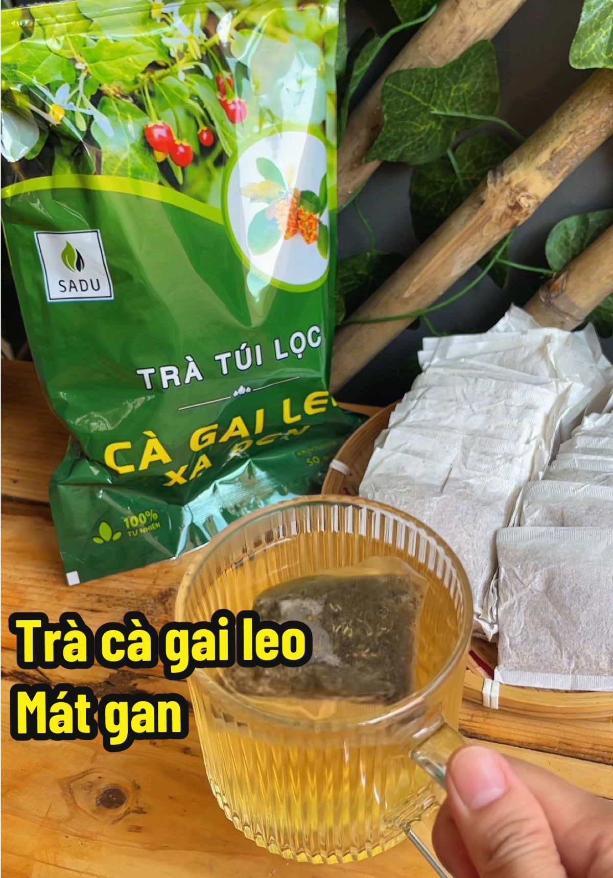 Bạn có tin chỉ một ly trà thảo mộc cà gai leo mỗi ngày có thể giúp gan bạn “thở phào nhẹ nhõm” #foodreview  #tracagaileo  #tracagaileotuiloc  #honghariviu  #viral 