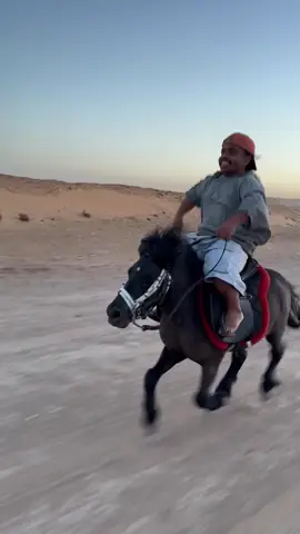 #سنفور #مربط_المناخ #تبوك 
