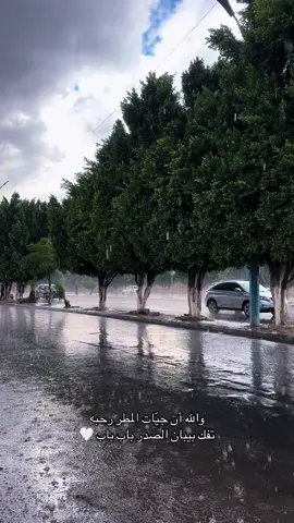 يا مرحبا بالمطر اجواء صنعاء 🤍🤍🤍