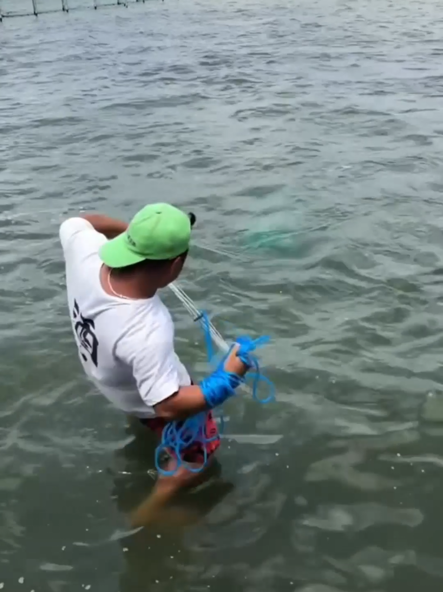 Awesome Fishing Net  #fishing #crab #fisherman #fishingtrip #fishcatching   