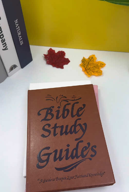 #biblestudy #biblehistory #bibletok #fyppp #TikTokMadeMeBuyIt