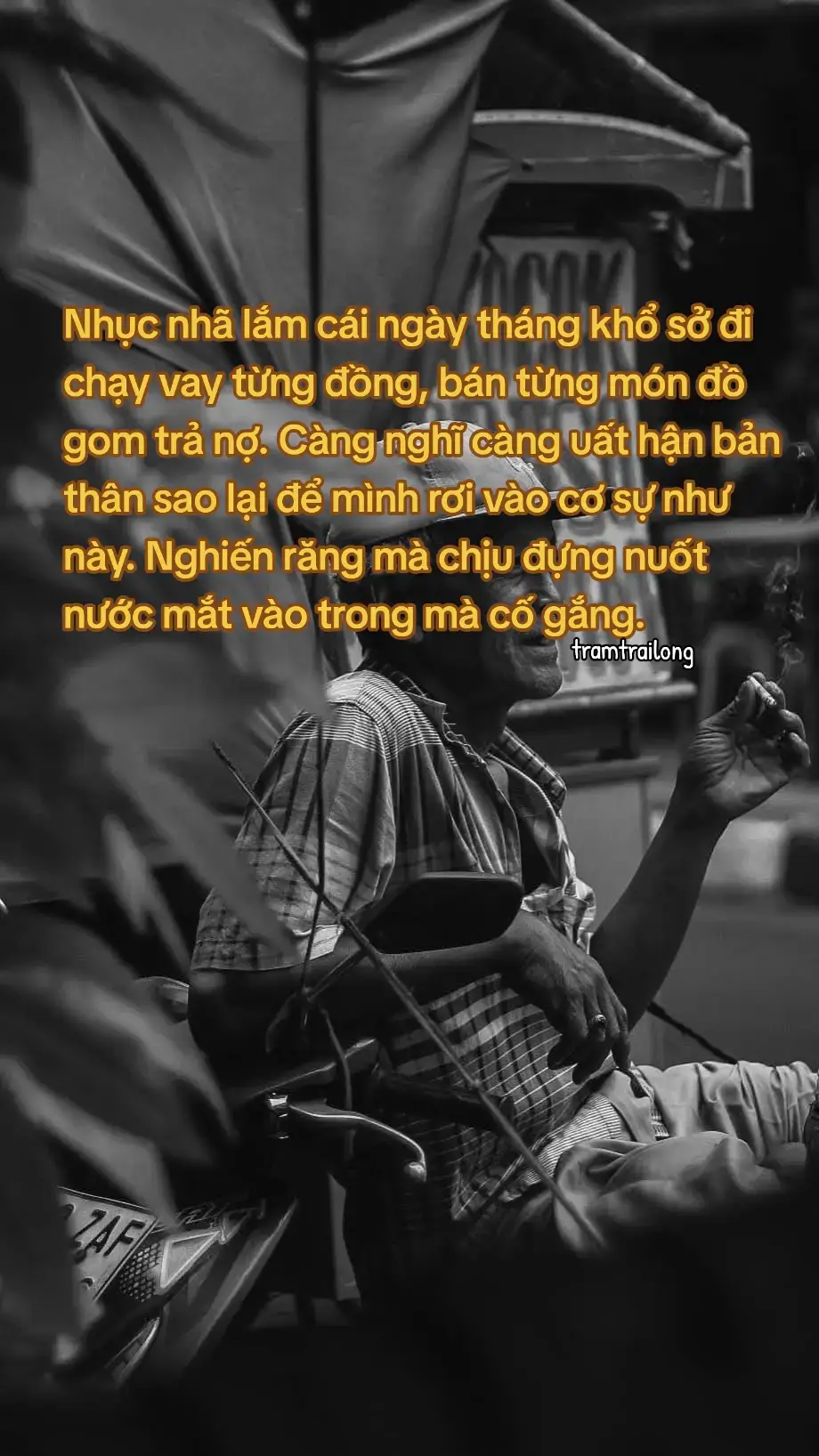 #tramtrailong  #xuhuong  #stt_buồn_tâm_trạng #stt  #story 