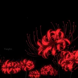 Consume - ChaseAtlantic #lyricsvideo #fyp #tokyoghoul #foryou #viral @CHASE ATLANTIC 