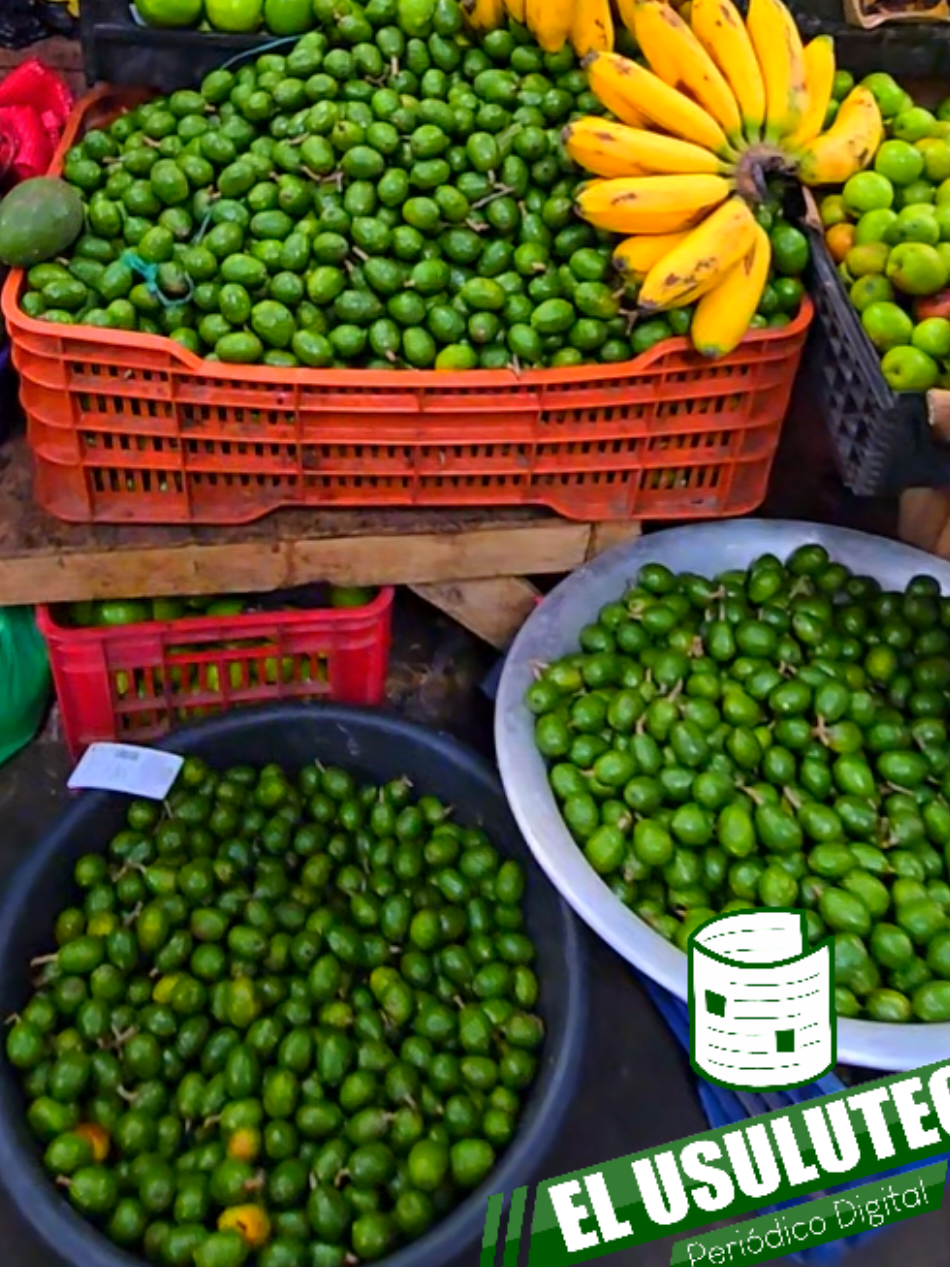 Llegó la temporada de jocotes corona al mercado municipal de Santiago de María, Usulután Norte. El precio es de 25 jocotes por $2.00. También puede adquirirlos machacados con chile, sal y limón. ¡Sabrosos!  #SantiagoDeMaría #usulutan #jocotescorona #jocotesquerico🤤😋 #elsalvador🇸🇻 