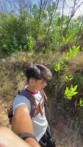 Yes