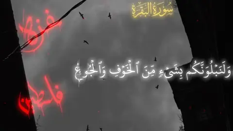 #قران_كريم  لا تنسون اخوانه في غزه من دعاء☝🏻