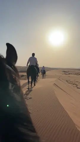 #خيل #حايل #شمر #مربط_اصايل_حائل #حايلندا 