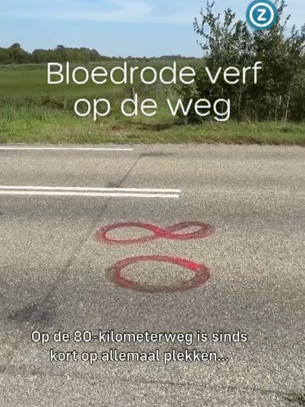 Een bloedrood tafereel op de weg: wat wil deze schilder? 🎨👨‍🎨8️⃣0️⃣ #Aagtekerke #Grijpskerke #snelheid #Walcheren #mysterie #Zeeland