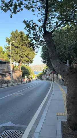 İstanbul’un her sokağı… 💚💐 #fyppppppppppppppppppppppp #keşfet #fypシ゚viral #keşfetbeniöneçıkar #keşfetteyizzz 