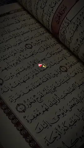 ہمیں بھیک مانگنے کو تیرا آستاں بتایا 🥹🤍 . . . #viral_video_tiktok #tranding #itx_hassan_raza_official #اللهم_صلي_على_نبينا_محمد #رسول_الله_صلى_الله_عليه_وسلم 