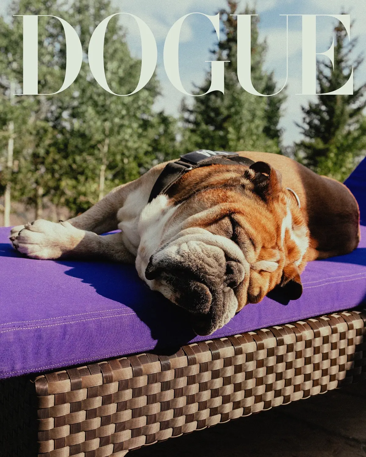 Like #LewisHamilton, his bulldog Roscoe was destined to be a champion. Over the years, the now 12-year-old has become a star like Hamilton himself, from a Hollywood-worthy filmography to brand ambassadorships. And now, Roscoe is on the cover of #Dogue, just months after his dad fronted the cover of Vogue. But how is the F1 pup faring in and out of the paddock? Roscoe rarely leaves Hamilton’s side and has even picked up some of his dad’s tastes. “He likes fancy, fancy sneakers,” Hamilton says. “He picks up my Dior trainers and always takes them with him. He’s so bougie.” At the link in bio, Lewis and Roscoe answer the #Dogue questionnaire.