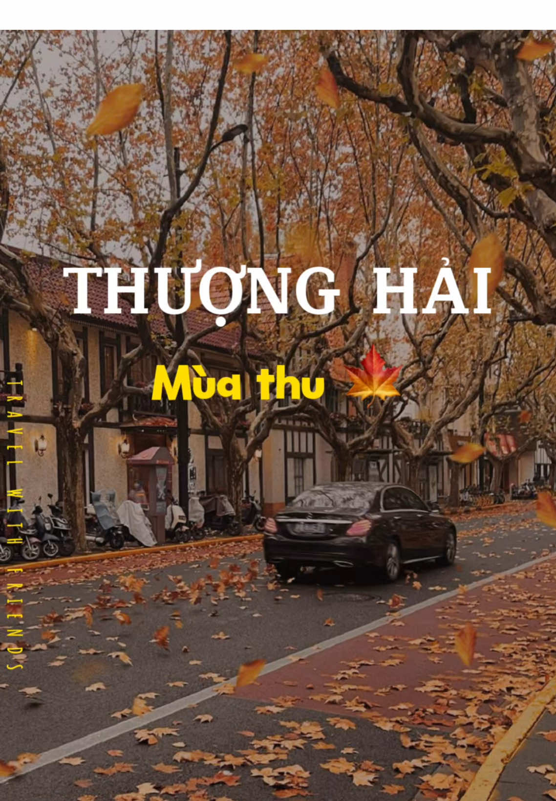 🍁 Thượng Hải mùa thu đẹp như thế nào ?!? #WinBoovivu #shanghai #dulichtrungquoc #thuonghai #muathu