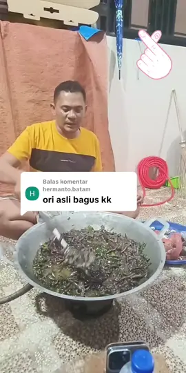 Membalas @hermanto.batam super jumbo masuk barang kita... Siapa cepat dia dapat...  #bataktiktok #kalakkarotiktok #pasagu #viralvideo #kalakkaro 