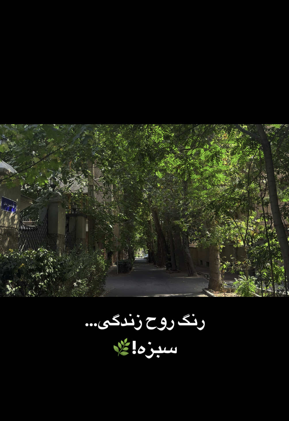 واقعا عاشق صدای خسرو شکیبایی هستم🌿#خسرو_شکیبایی #خسروشکیبایی #ایران #تیک_تاک_ایرانی #iran #persian #دکلمه 