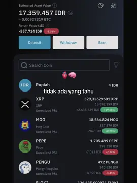 bullrun apakah akan terjadi tahun ini ? #xrparmy #btc #pengu #pepe #shibainu 