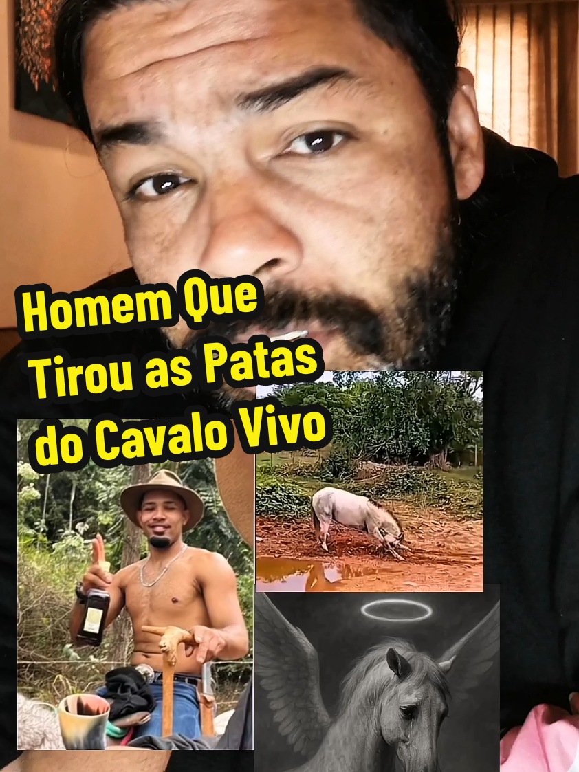 Homem tirou as Patas do Cavalo em Bnanal SP | video completo cavalo bananal | video do cavalo sem as patas bananal | video cavalo bananal patas | video cavalo bananal SP | video cavalo bananal | cavalo sem as patas bananal imagem #Cavalo #Bananal #Justiça 