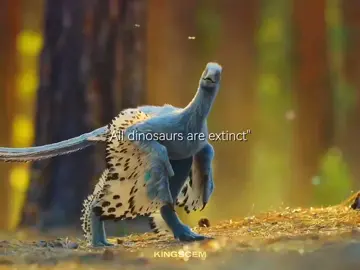 | Part 1 | I specifically chose birds that look more like what dinosaurs would've looked similar to, than a sparrow, because it just looked a bit better? I don't know #prehistoric #dinosaur #edit #fyp #tiktok