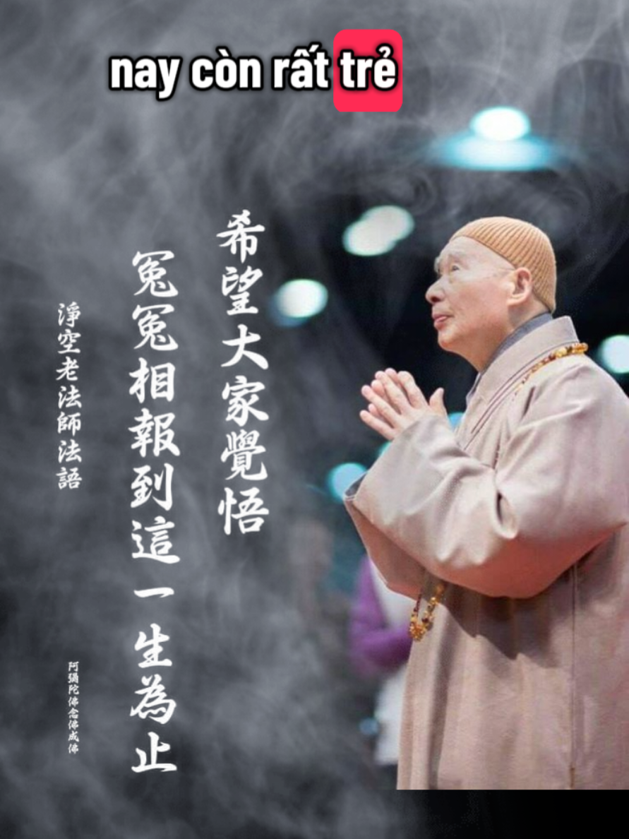 A Mi Đà Phật🙏🙏🙏 #vangsanhcuclac #phapsutinhkhong #phapmontinhdo #ADIDAPHAT #phatphapnhiemmau 