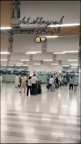 تمہیں کیا پتہ تکلیف کسے کہتے ہیں
 کبھی ایرپورٹ پہ ہم پردیسیوں کو جاتے دیکھنا #its_aeysha🥀 #saniasohail🤍😘🦋34 #sohailahmadoffical34❤ #sohail_goraaya☠️☠️ #sohaillgoraaya34alla