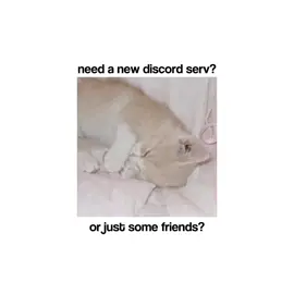 join us #discord #friends #discordserver #roblox #fyp 