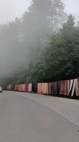 Galiyat Nathia Gali Route | The Heaven on Earth 🌍  natural Beauty of Pakistan #fyp #foryoupage❤️❤️ #murree 