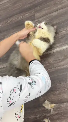 Nhà mí bà có cây lau nhà bằng pate khum:) hút bụi có deerma t10w lau nhà có xù chạy bằng pate 😂
