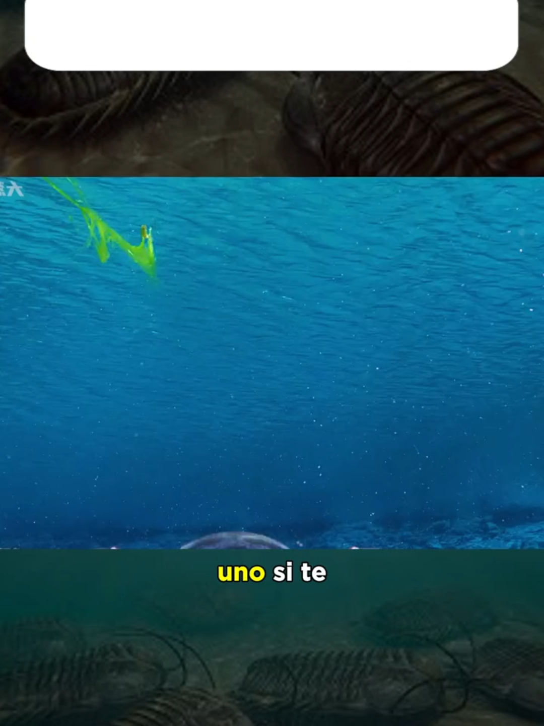 El nacimiento del primer depredador máximo de la Tierra#naturaleza #mundoanimal #animales #peliculas #historia