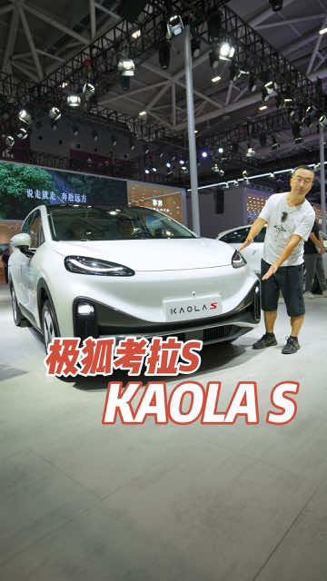 This five seater EV SUV is priced at just over $10000! #chinaev #intelligentcars #electriccar 