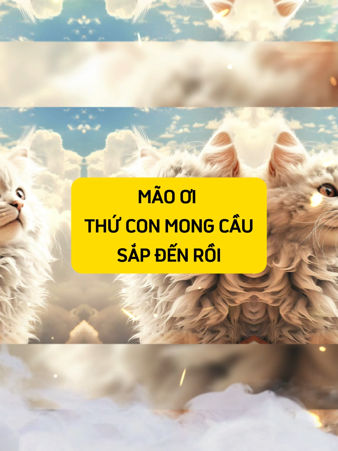Mão ơi điều con mong cầu sắp đến ! #Tuoimao #tuvituoimao #tuvi12congiap #12congiap #tailocmayman