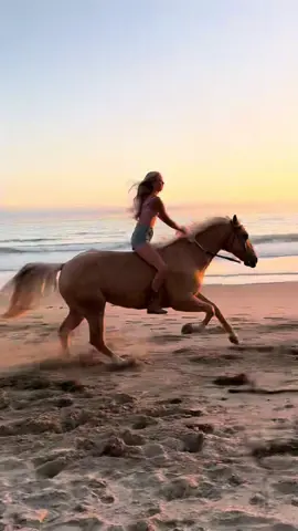 Finally went bareback on the beach #horsetok #bareback 