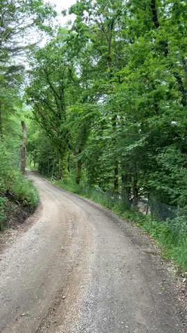 #danmarknatur  #ویدیوهای_طبیعت  #سروشتی جوان 