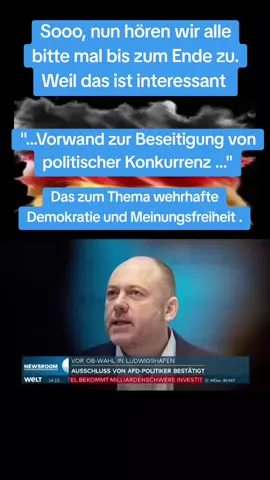 #nachrichten #deutschland🇩🇪 #komunalwahlen #afd#meinungsfreiheit 