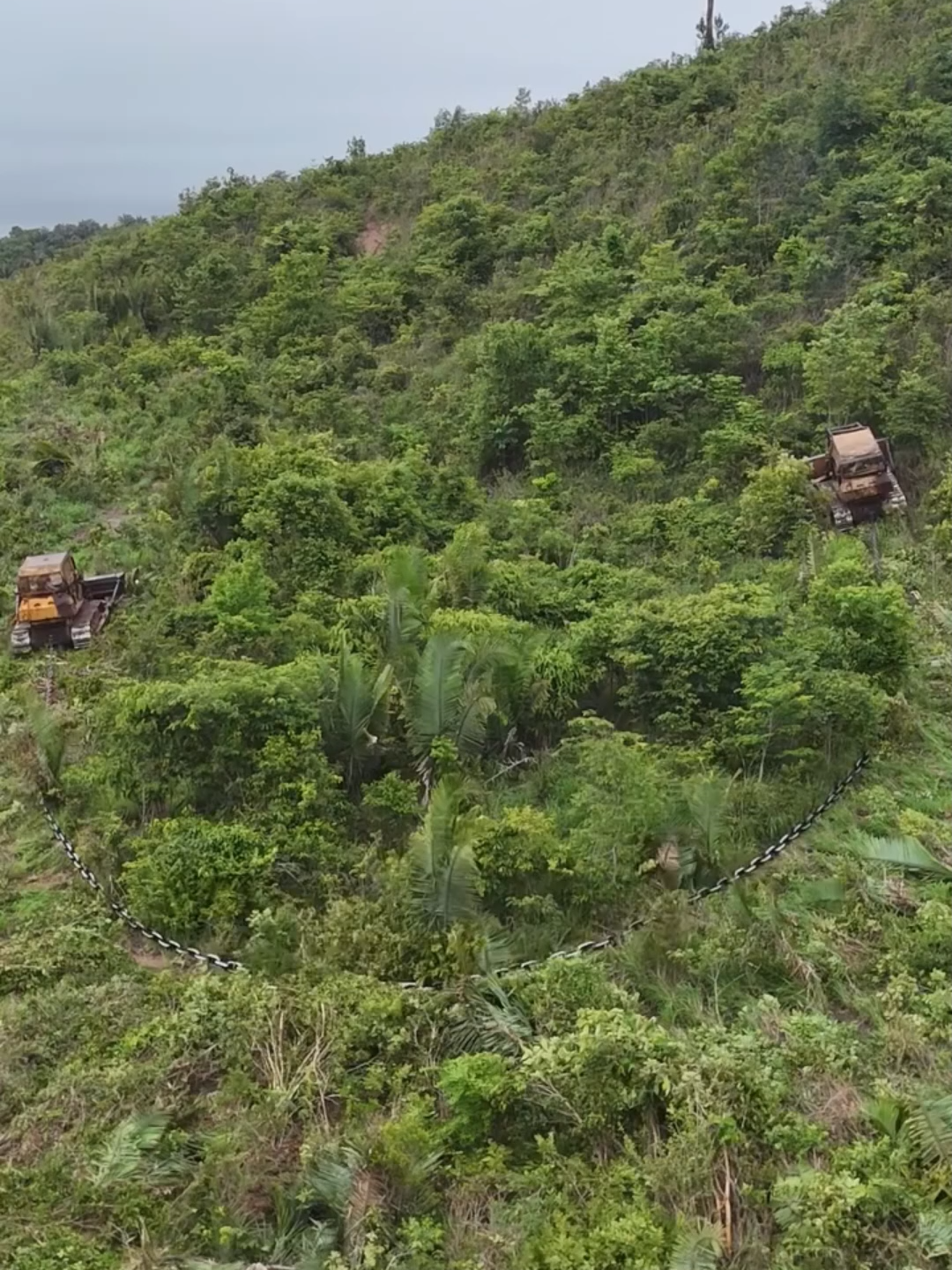 EL PODER Y LA POLÉMICA DEL CORRENTÃO El correntão, usado en Brasil para desmontar tierras, puede limpiar hectáreas en horas. Eficiencia agrícola para unos, pero destrucción de ecosistemas para otros. 🌱⚖️ #AgropecuariaTV #Correntao #BrasilRural #Deforestación #AgroVsMedioAmbiente #Amazonía #Cerrado #ProducciónAgrícola #MedioAmbiente