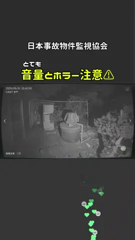 音量一応100から28まで下げましたwwwwww #日本事故物件監視協会 #jsp