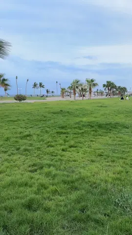 الخير جاي على جازان