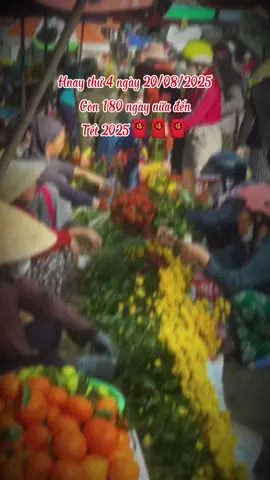 Còn 180 ngày nữa thôi, bận cỡ nào cố gắng tết này về nhà nha mn…! #tet2026 #nhacxuan #capcutpioneer #pioneertamplate #capcut 