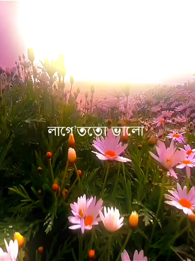 যতো দেকি তোমাকে লাগে ততো ভালো 😩🥹 #foryou #fyp #layrics_songs #layrics #amedit 