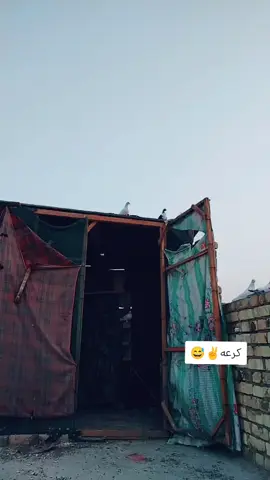 غنيه تخبلل شفرتي😂 العماره الايك👑✌