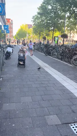 Extra bijverdienen in de nacht bij de Albert Heijn. #ah #albertheijn #werk #bijverdienen 