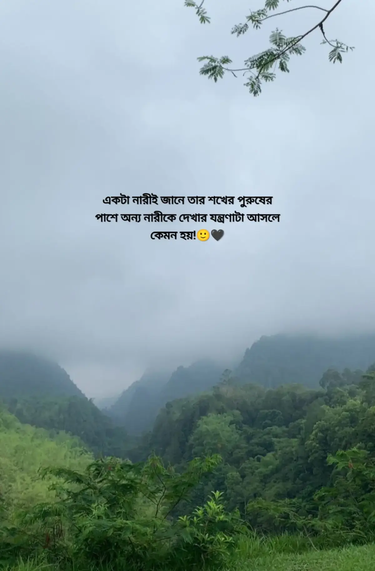 একটা নারীই জানে তার শখের পুরুষের পাশে অন্য নারীকে দেখার যন্ত্রণাটা আসলে কেমন হয়!🙂🖤 #foryou #foryoupage #viral #unfrezzmyaccount 