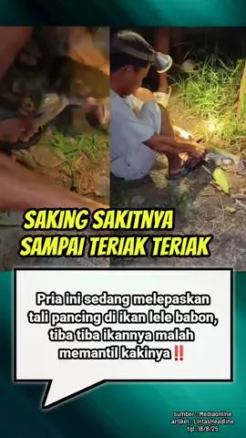 siapa yang pernah kepantil ikan lele⁉️#news #lintasheadline #mancing 