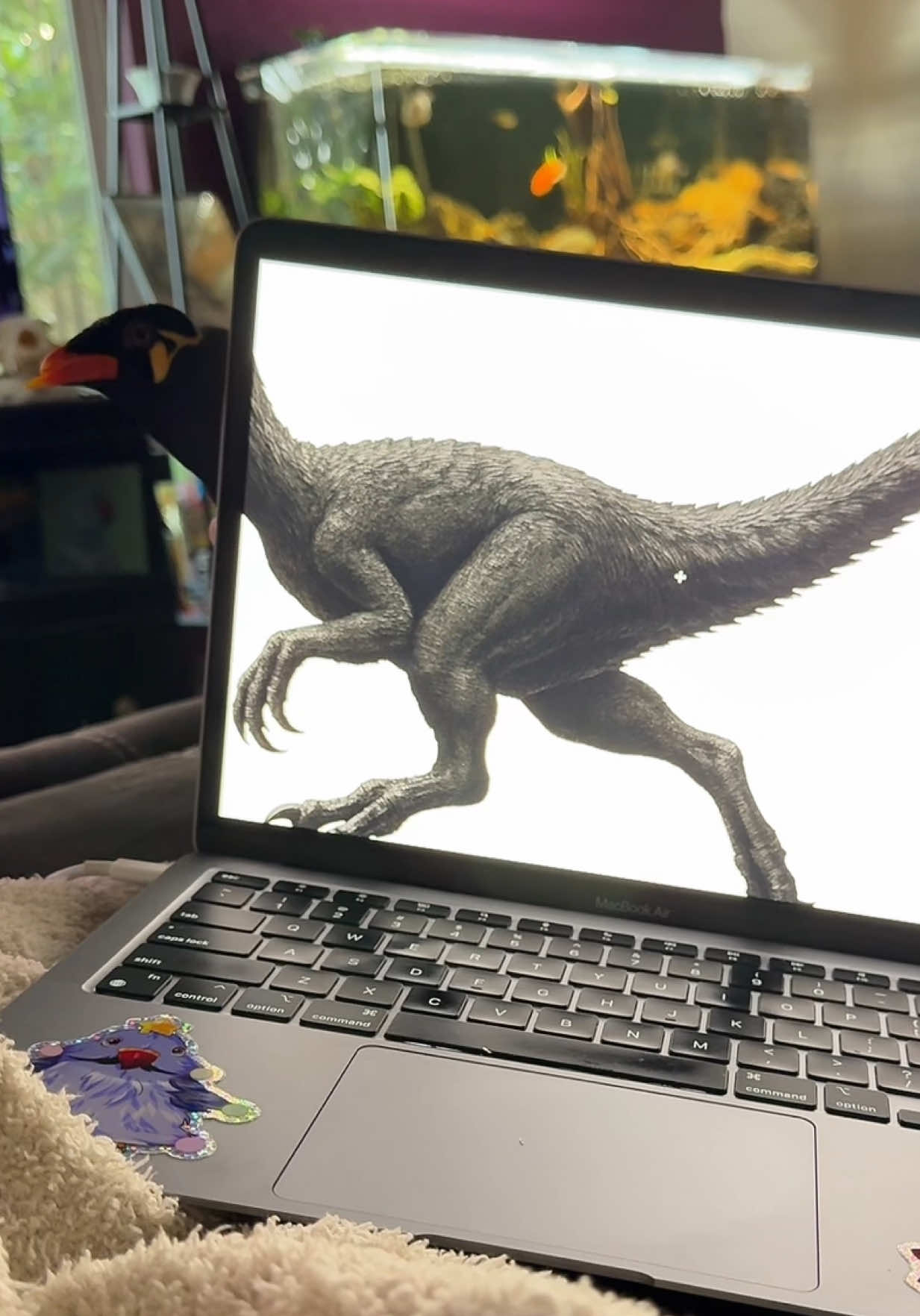 Argyle the mynahsaur 🦖🐦‍⬛ #ArgyleTheMynah #talkingbird #birdtok #fyp #birdsoftiktok 