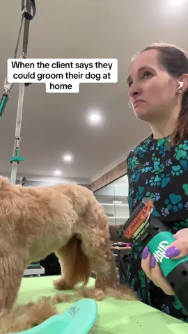 Put the TikTok shop clippers down please #fyp #doggrooming #doggroomer #thegroomeryandco #smallbusinessowner  