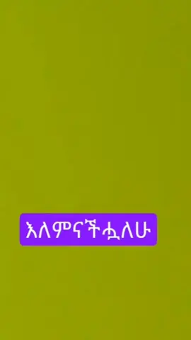 part 151: best English Expressions  #creatorsearchinsights#englishteacher #foryoupage #videoviralitiktok #habeshatiktok #eritreantiktok🇪🇷🇪🇷habesha #eritreantiktok🇪🇷🇪🇷habesha #expressions 