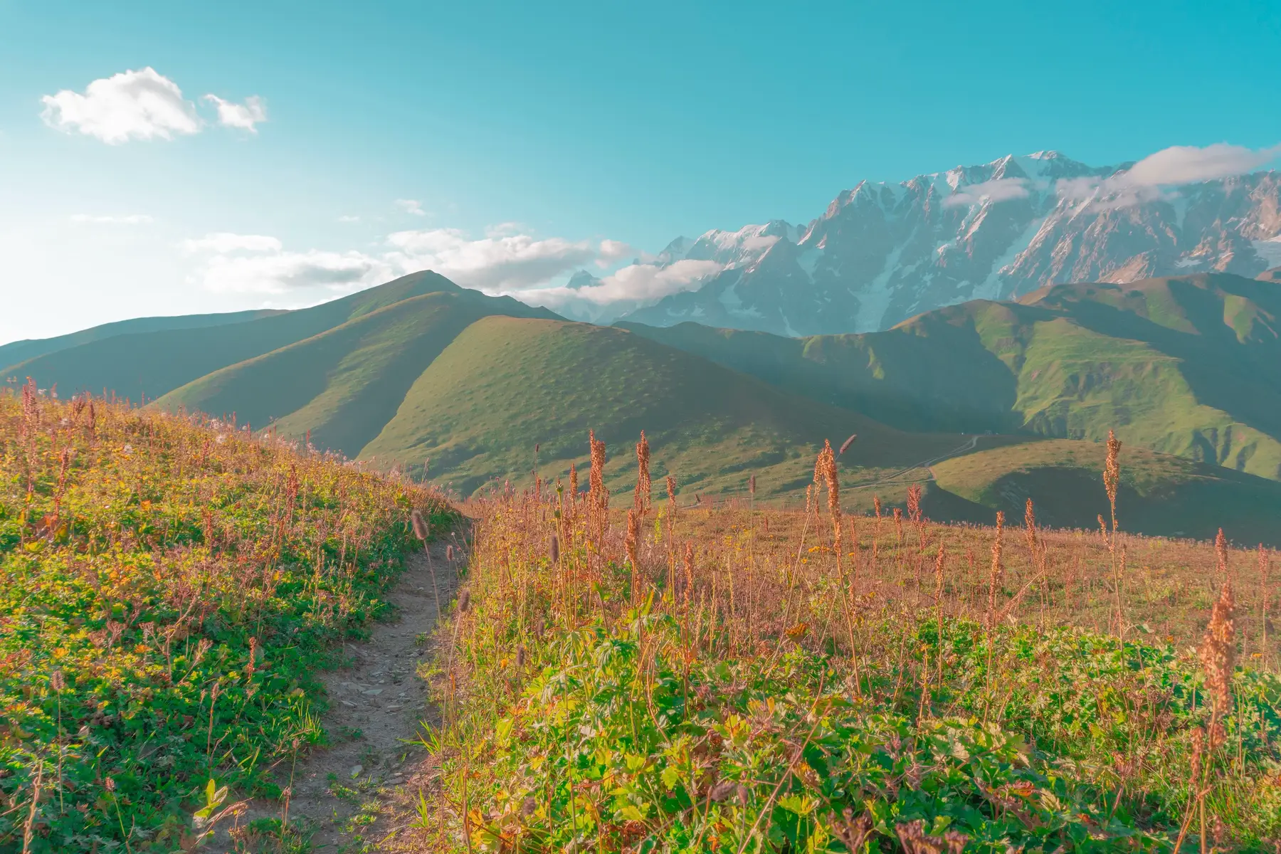 Svaneti mountains in summer.  #fyp #photography #svaneti #georgia #mountains 
